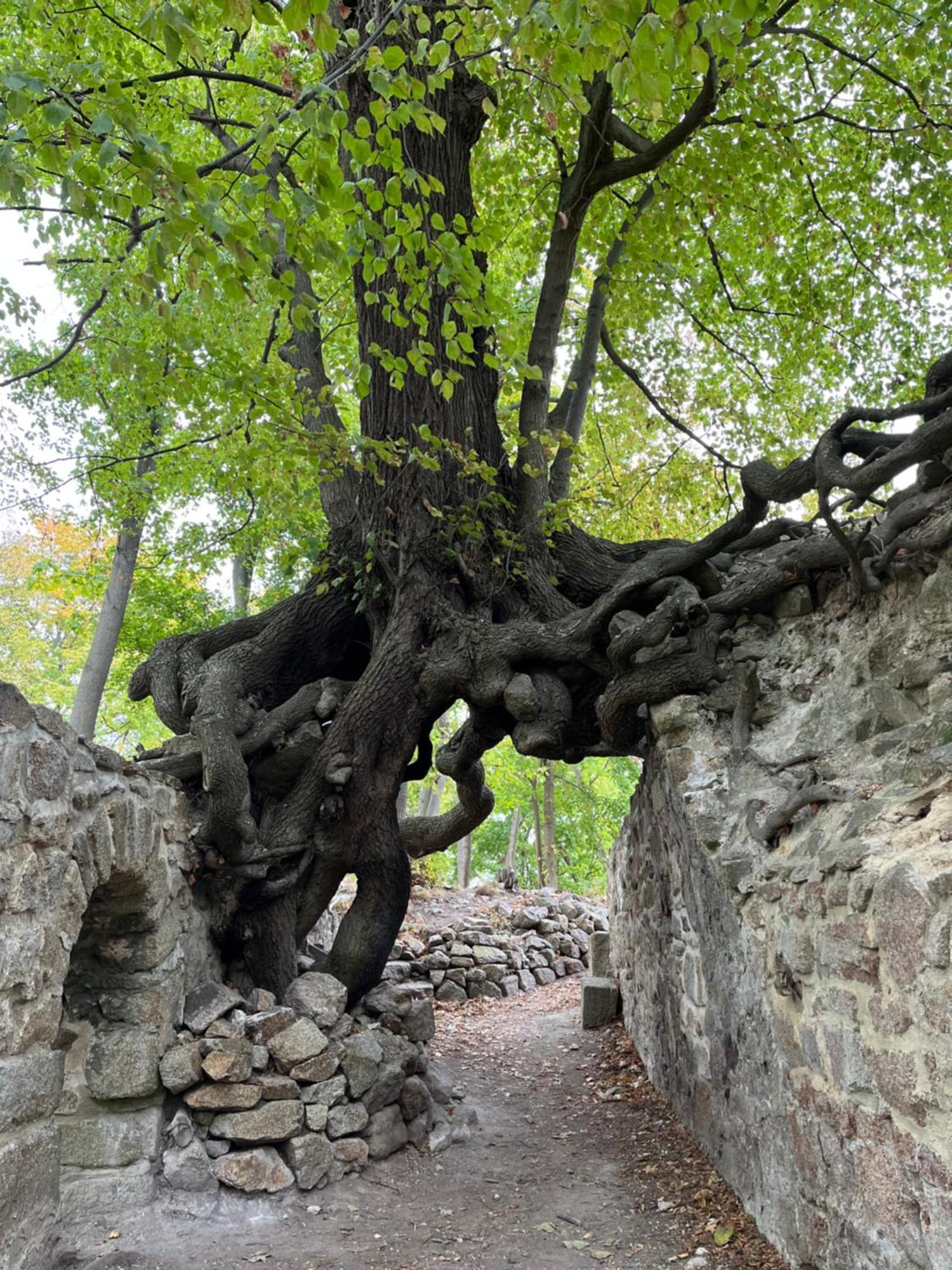 Вілла "Kleinstes Haus Von Blankenburg" Urlaub In Einem Einzigartigen Baudenkmal Бланкенбург Екстер'єр фото